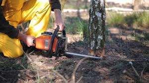 Best Lawn Irrigation Installation and Maintenance  in Herlong, CA